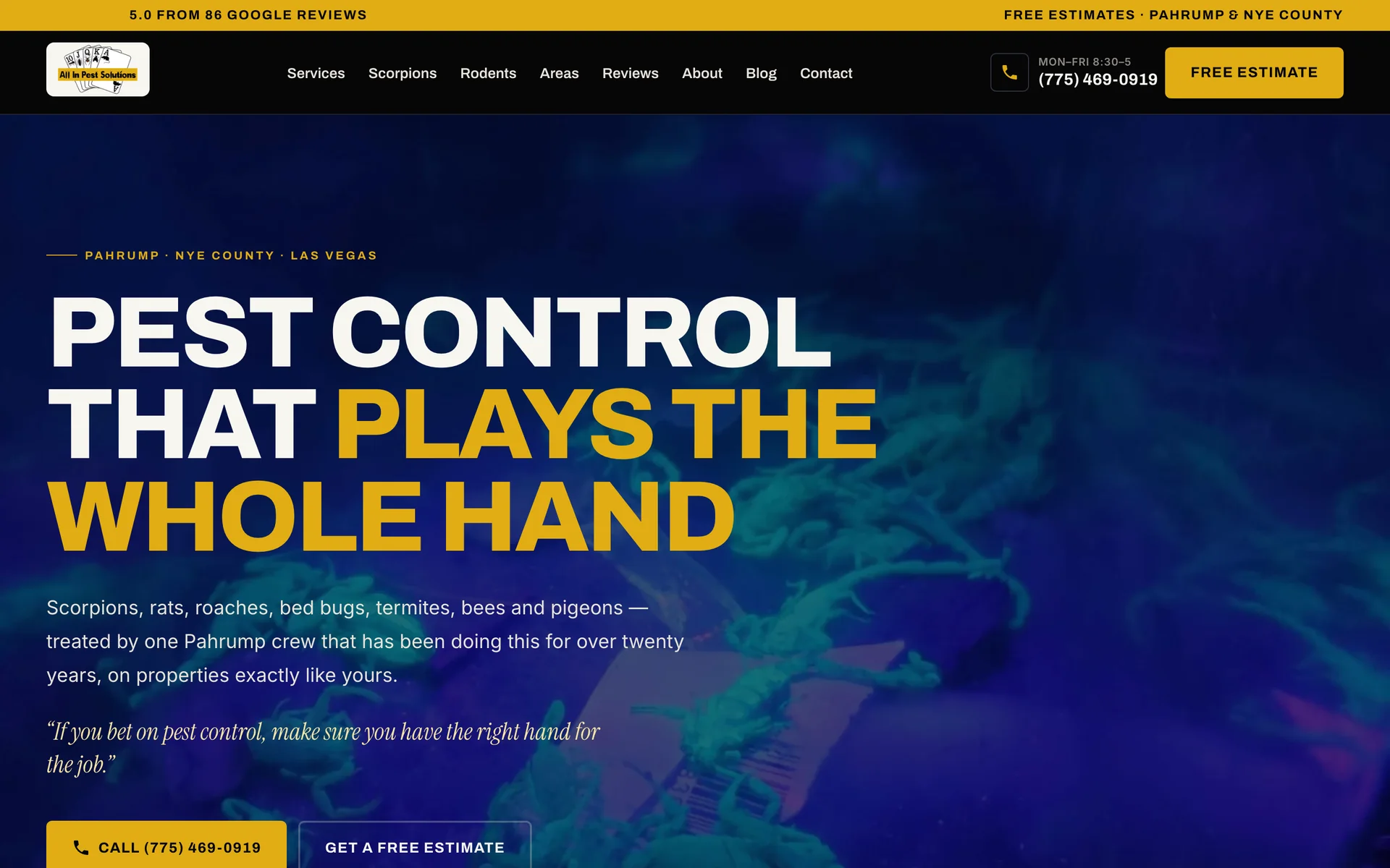 The All In Pest Solutions website we built