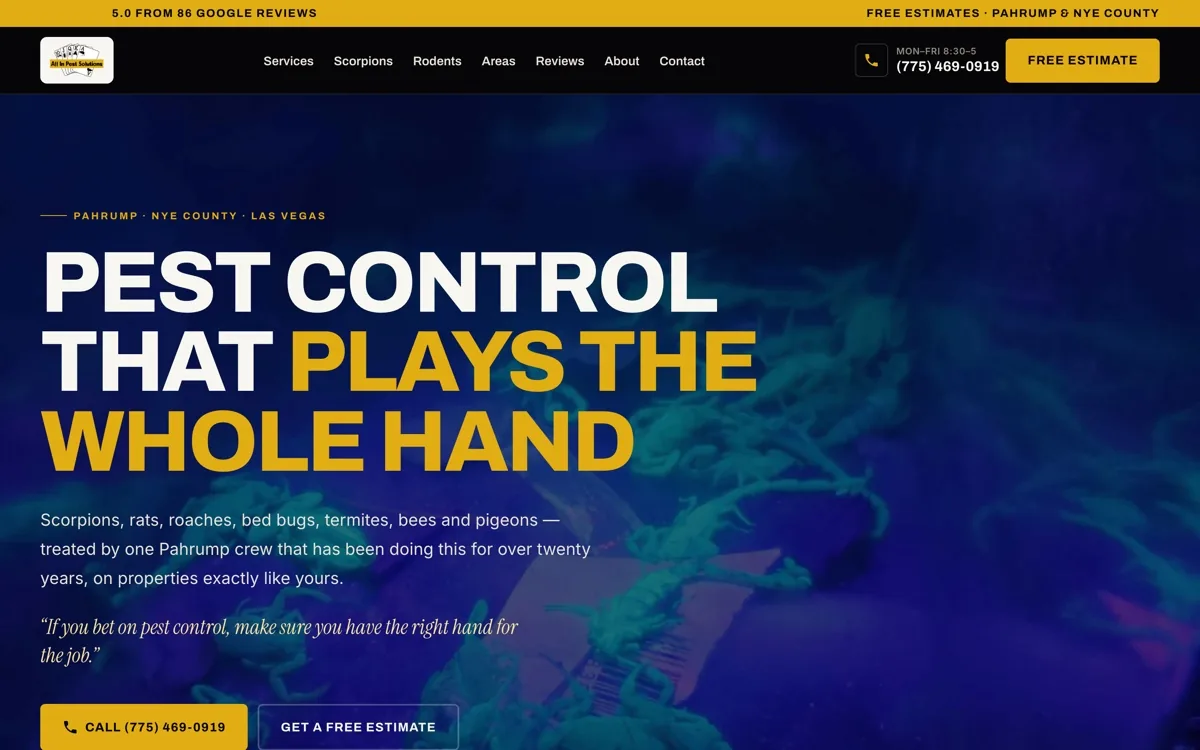 The All In Pest Solutions website we built